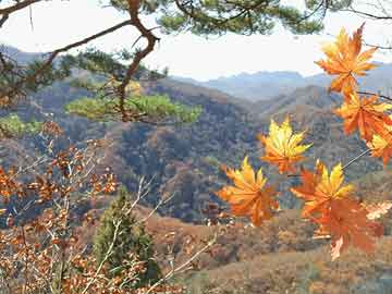 綠地峰尚匯最新動態(tài)，引領城市生活新潮流風向標