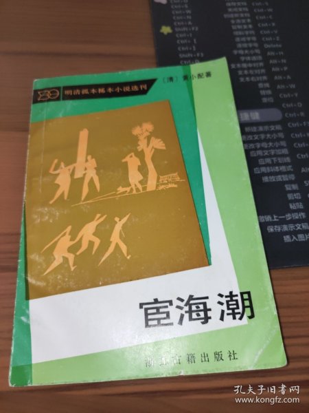 宦海弄潮，最新動(dòng)態(tài)與時(shí)代變遷探究