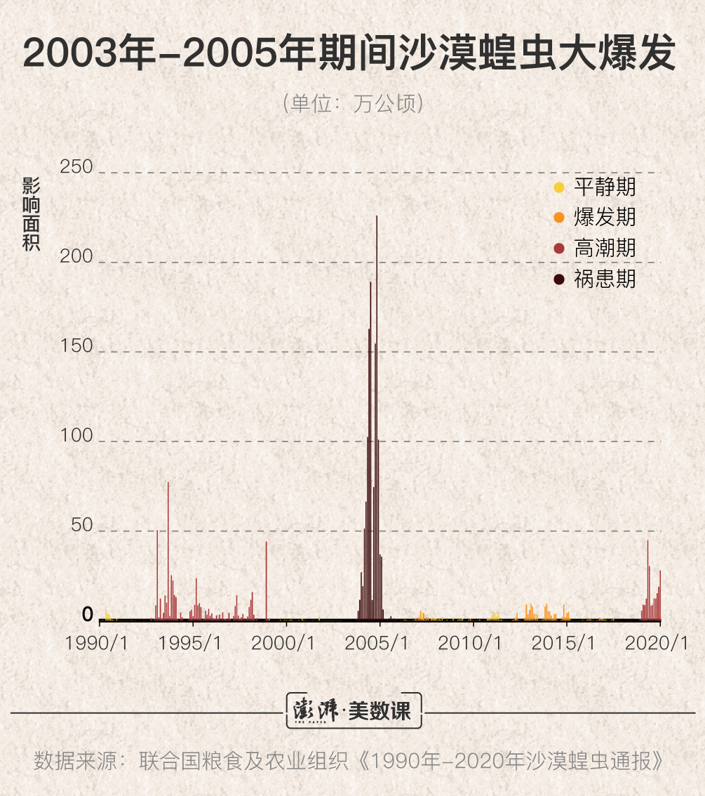 全球蝗災最新動態(tài)，挑戰(zhàn)與應對策略解析