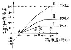 有氧呼吸與線粒體，生命能量的源泉