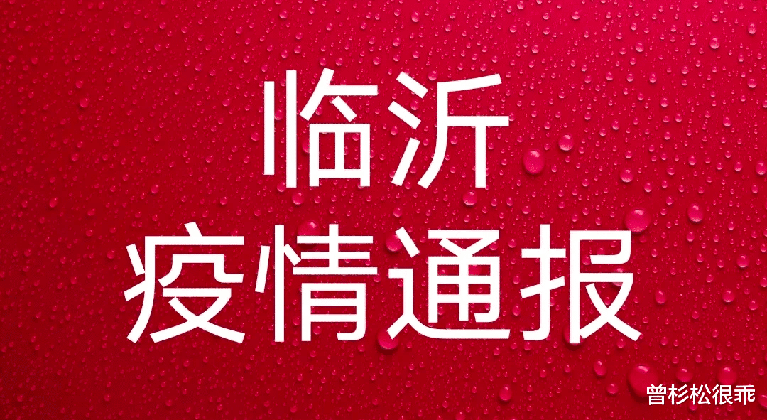 臨沂疫情最新動態(tài)，堅定信心，攜手共克時艱