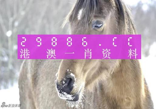 澳門(mén)精準(zhǔn)一笑一碼100%,精細(xì)解答解釋定義_冒險(xiǎn)版60.916