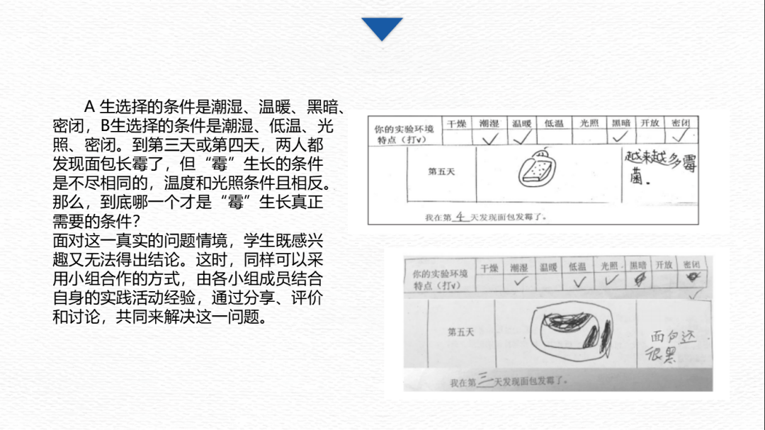 澳門三肖三碼精準100%公司認證,高效方案實施設計_SHD75.716