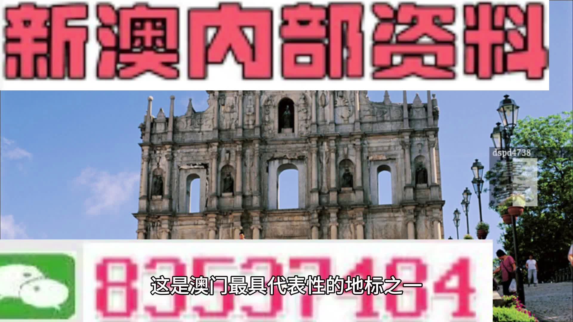 新澳2024正版資料免費(fèi)公開,準(zhǔn)確資料解釋落實(shí)_豪華版59.219