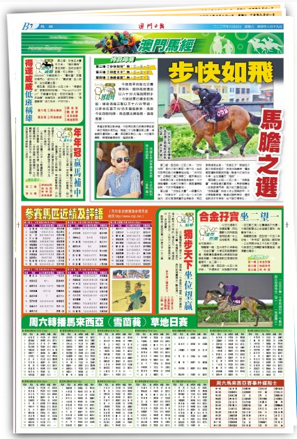 2024澳門特馬今晚開獎億彩網,效率資料解釋落實_投資版36.913