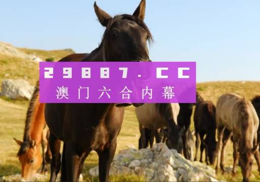 新奧門管家婆免費(fèi)大全,絕對經(jīng)典解釋落實(shí)_Premium41.144