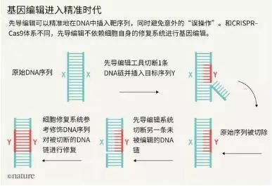 新澳門內(nèi)部一碼精準公開,廣泛的關(guān)注解釋落實熱議_UHD16.863