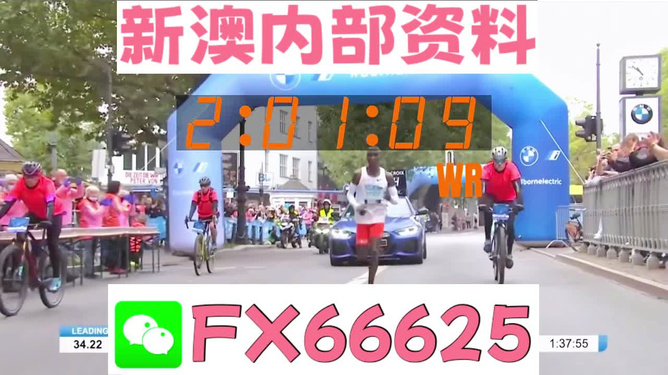 新澳精準(zhǔn)資料免費(fèi)提供2024澳門,極速解答解釋落實(shí)_OP11.201