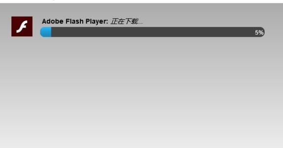 Flash視頻下載方法與技巧解析指南