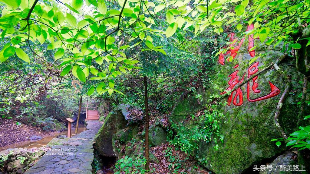 螺絲釘在線聽故事，知識與樂趣的橋梁連接處