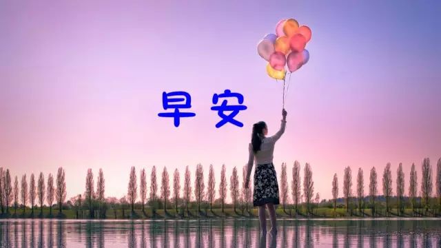 最新唯美語錄經(jīng)典，人生詩意與哲理的探索