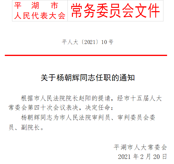 京兆路居委會人事任命揭曉，塑造社區(qū)發(fā)展新篇章