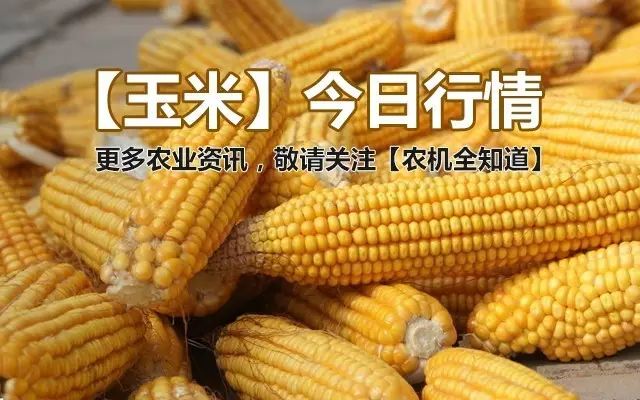 2017年東北玉米最新價(jià)格動態(tài)解析