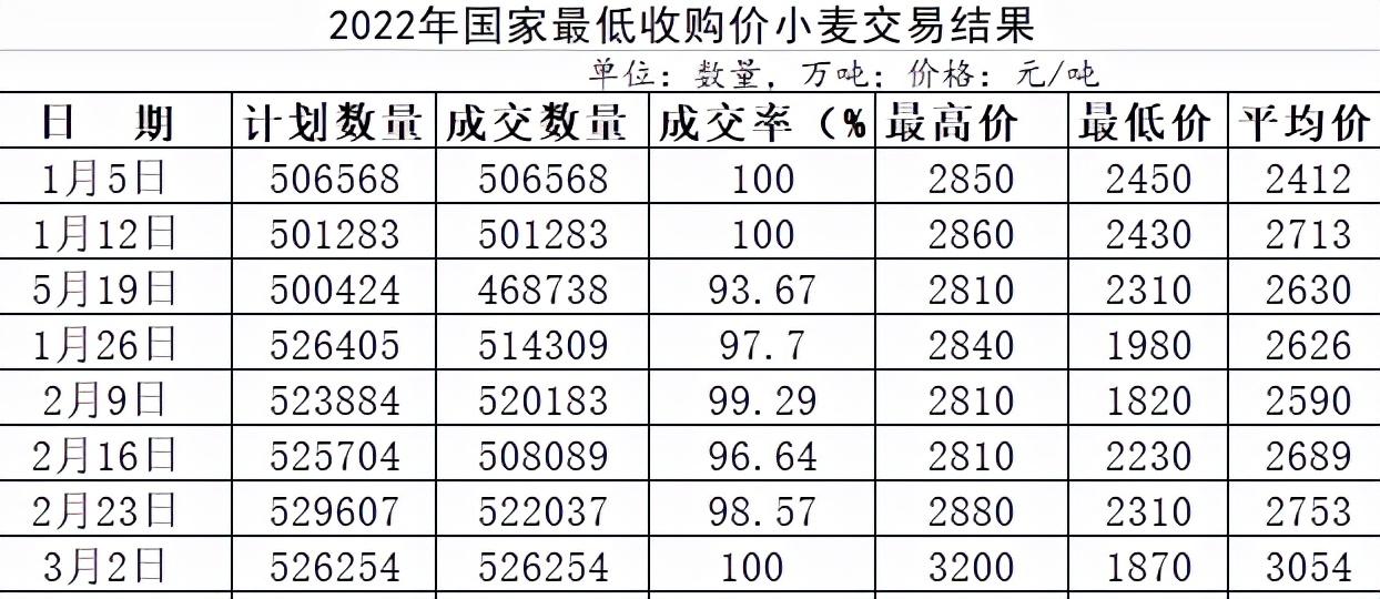 衡水小麥今日價格動態(tài)解析