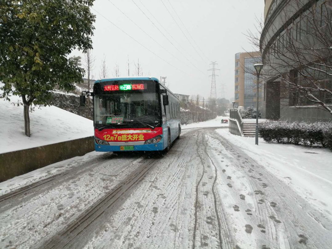 警惕鮮網(wǎng)公車涉黃問題，最新系列探討